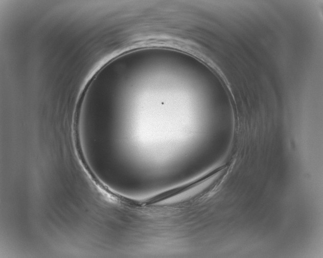 X0000067941533200604131436