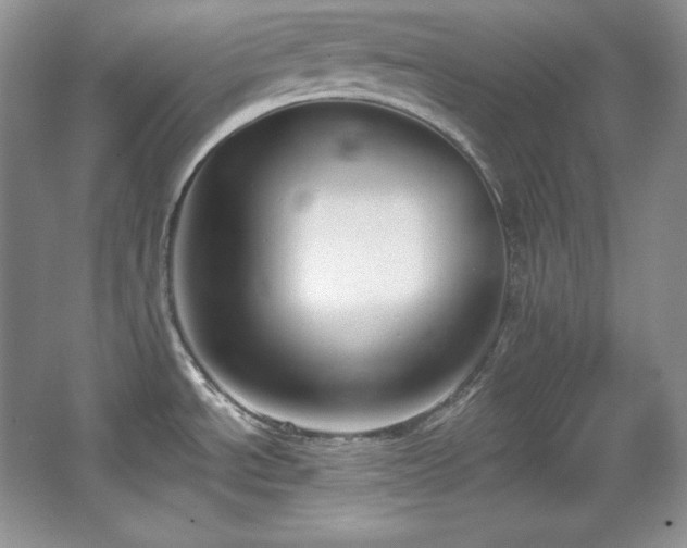 X0000067941534200604131436