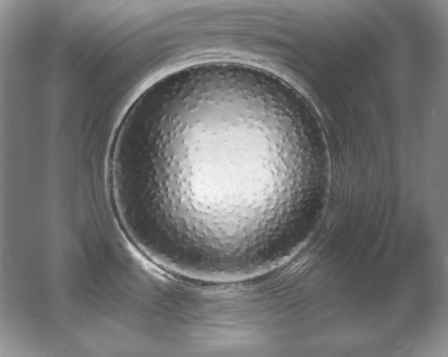 X0000067941535200604131436