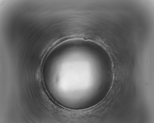 X0000067940002200604171512