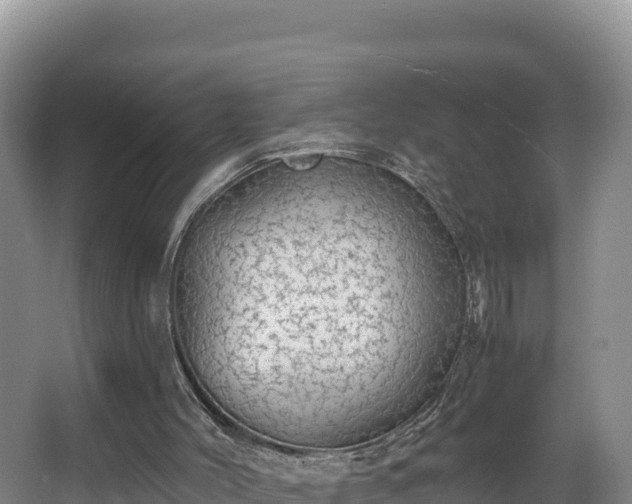 X0000067940004200604171512