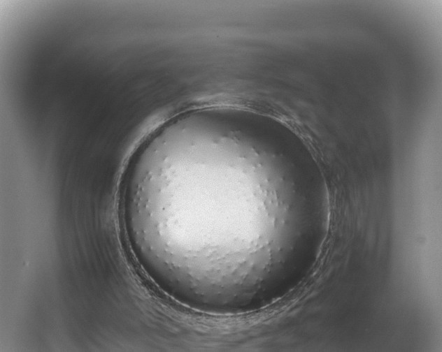 X0000067940006200604171512