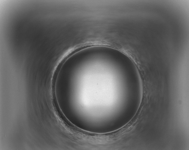 X0000067940008200604171512