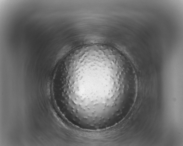 X0000067940010200604171512