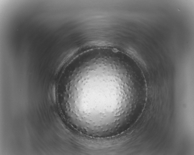 X0000067940014200604171512