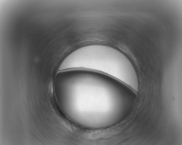 X0000067940021200604171512