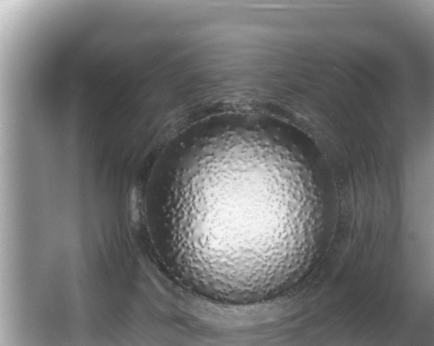 X0000067940038200604171512