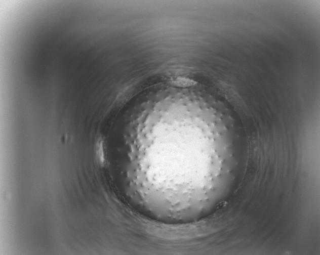X0000067940042200604171512