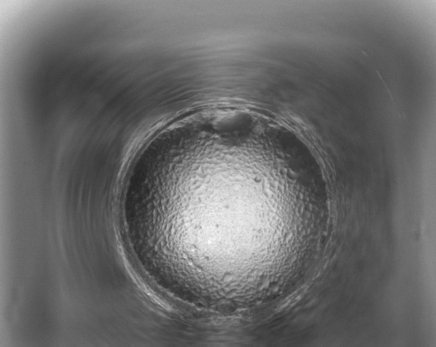 X0000067940049200604171511