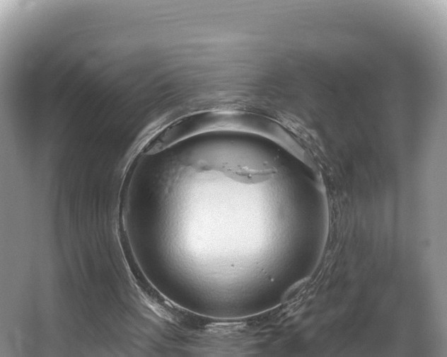 X0000067940051200604171511