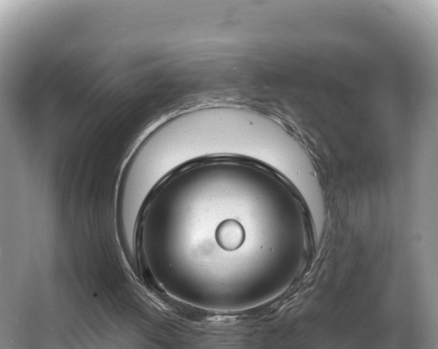 X0000067940052200604171511