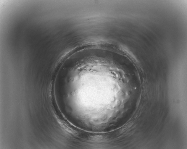 X0000067940058200604171511