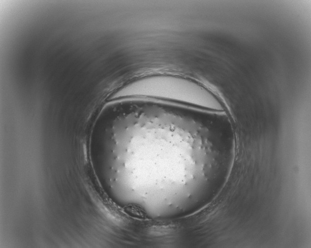 X0000067940061200604171511