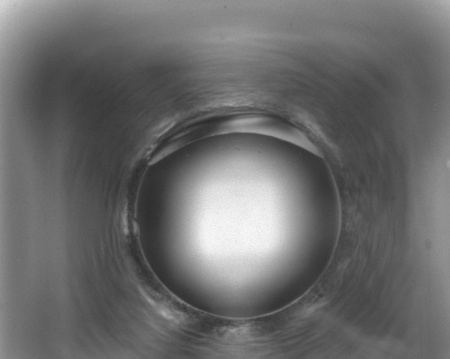 X0000067940068200604171511