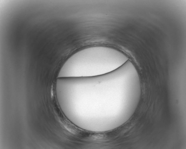 X0000067940069200604171511