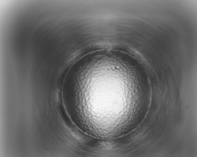 X0000067940071200604171511