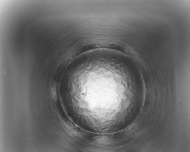 X0000067940074200604171511