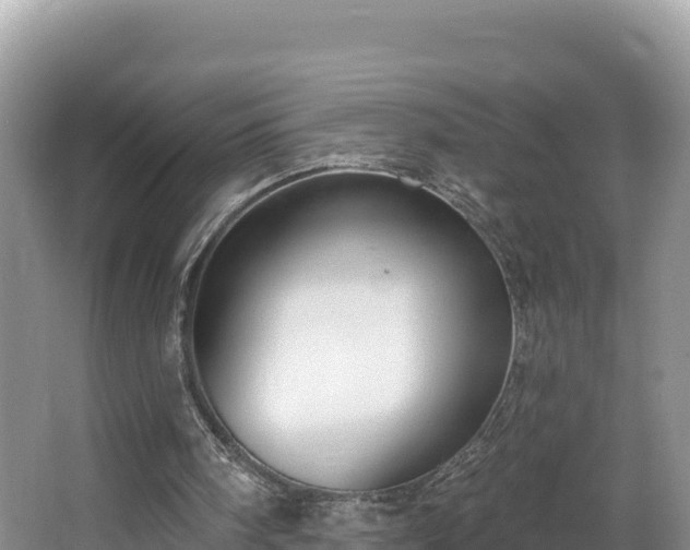 X0000067940098200604171511