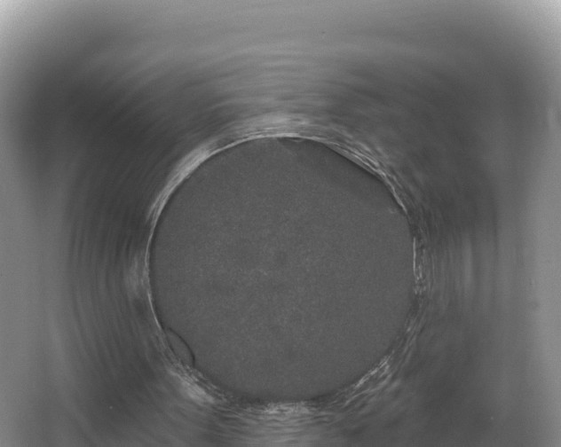 X0000067940099200604171511