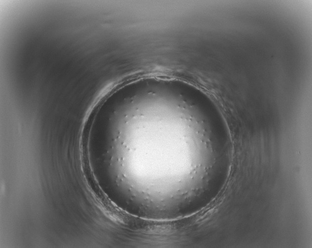 X0000067940102200604171511