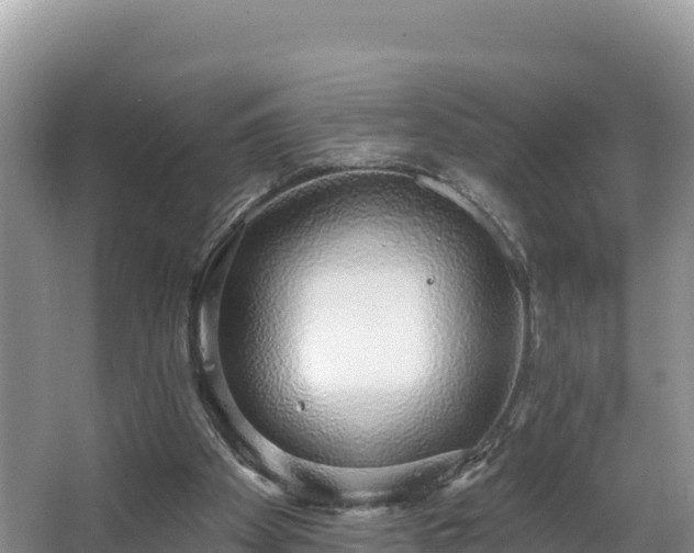 X0000067940105200604171511