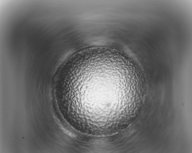 X0000067940106200604171511