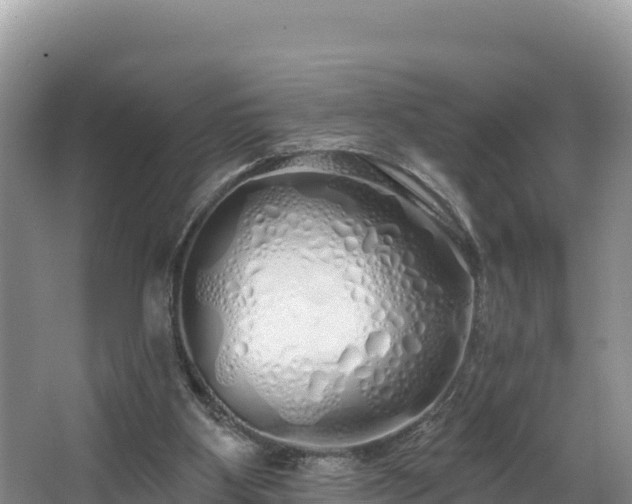 X0000067940107200604171511