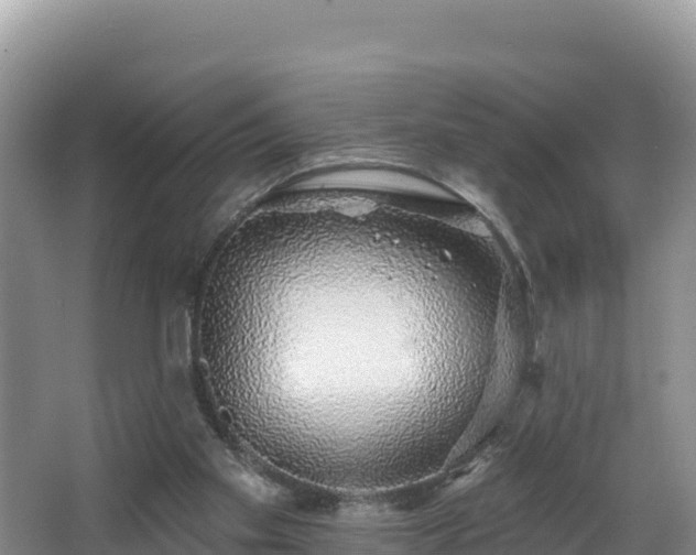 X0000067940109200604171511