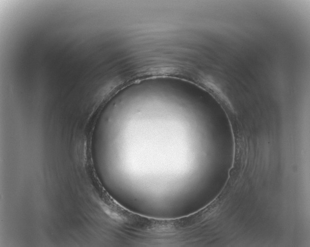 X0000067940110200604171511