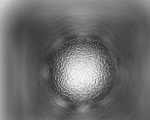 X0000067940138200604171510