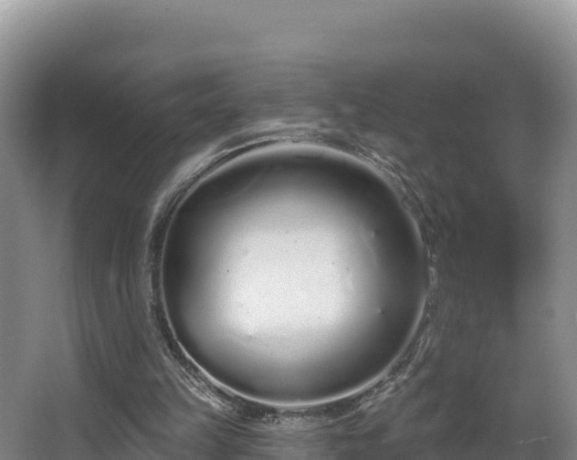 X0000067940149200604171509