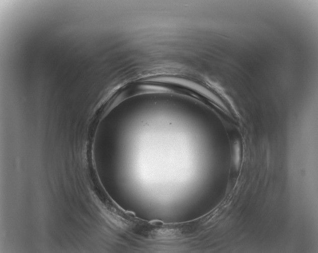 X0000067940154200604171509