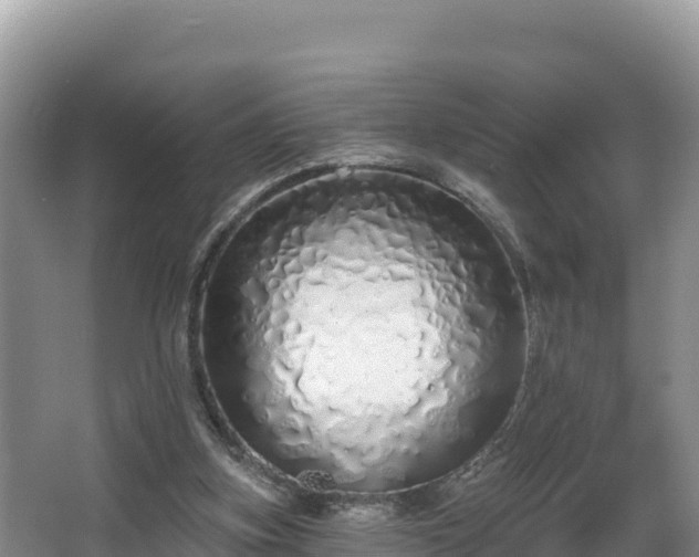 X0000067940155200604171509