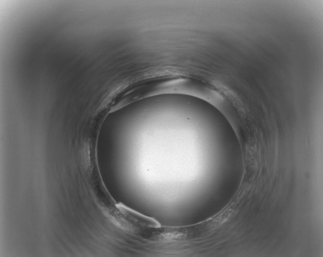 X0000067940158200604171509