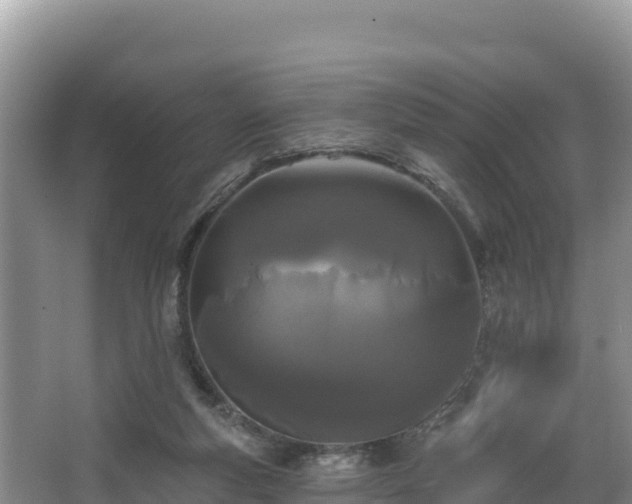 X0000067940163200604171510