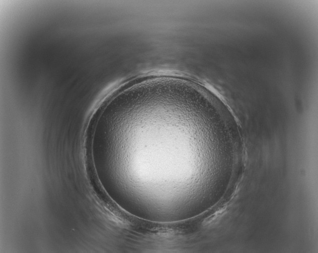 X0000067940199200604171509