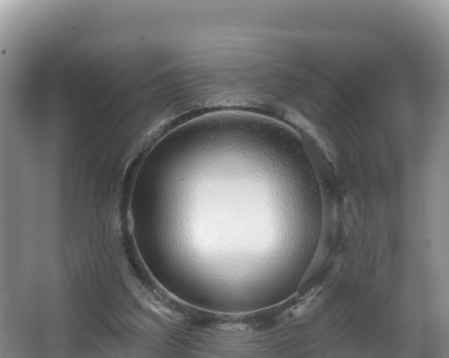 X0000067940203200604171509