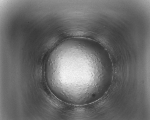 X0000067940206200604171509