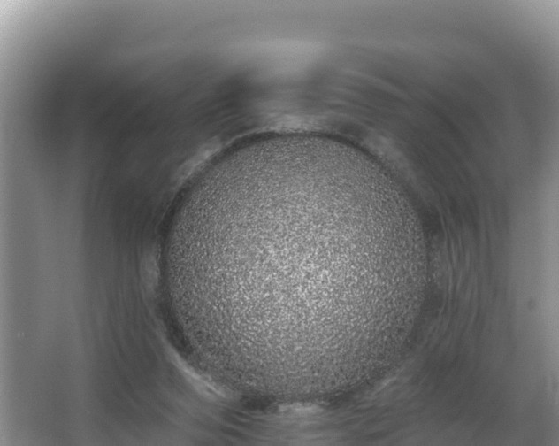 X0000067940208200604171509