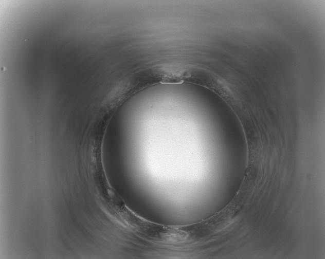 X0000067940215200604171509
