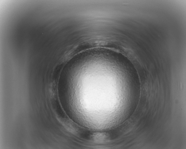 X0000067940218200604171509