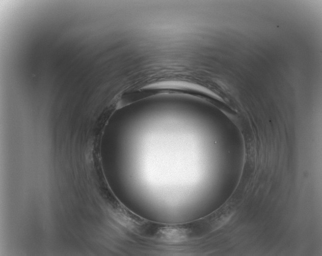 X0000067940221200604171509