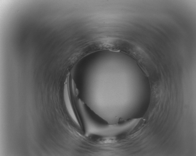 X0000067940223200604171509