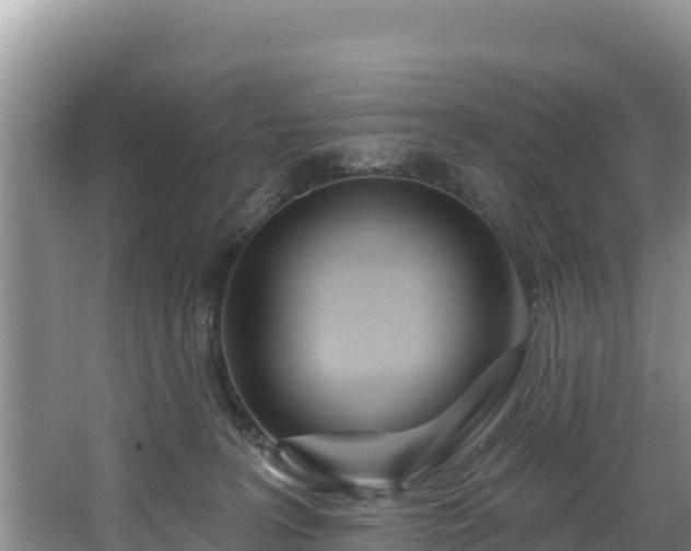 X0000067940227200604171509