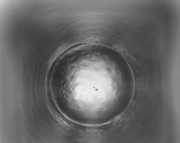 X0000067940242200604171508