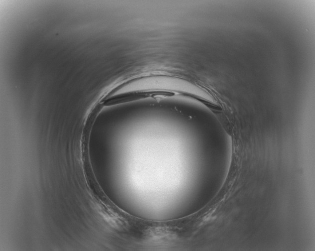 X0000067940244200604171508