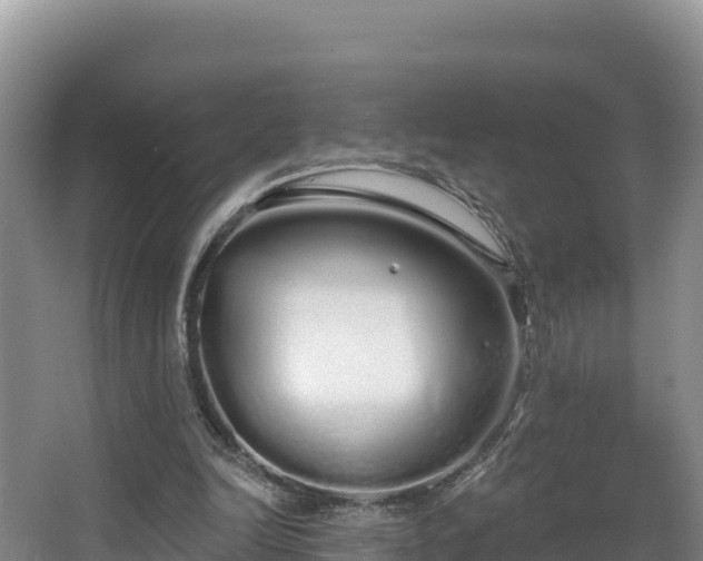 X0000067940246200604171508
