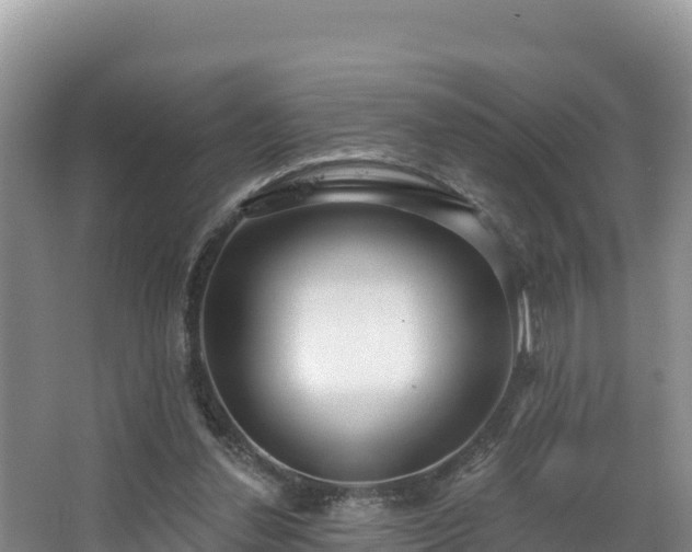 X0000067940252200604171508