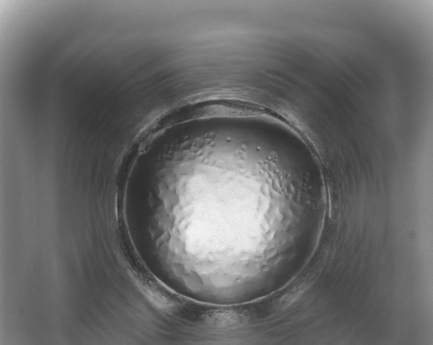 X0000067940253200604171508