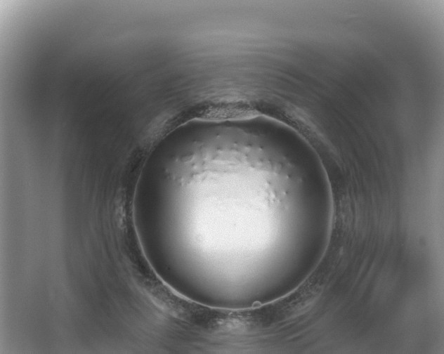 X0000067940259200604171508
